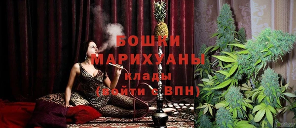 дурь Арсеньев