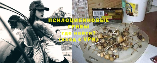 дурь Арсеньев